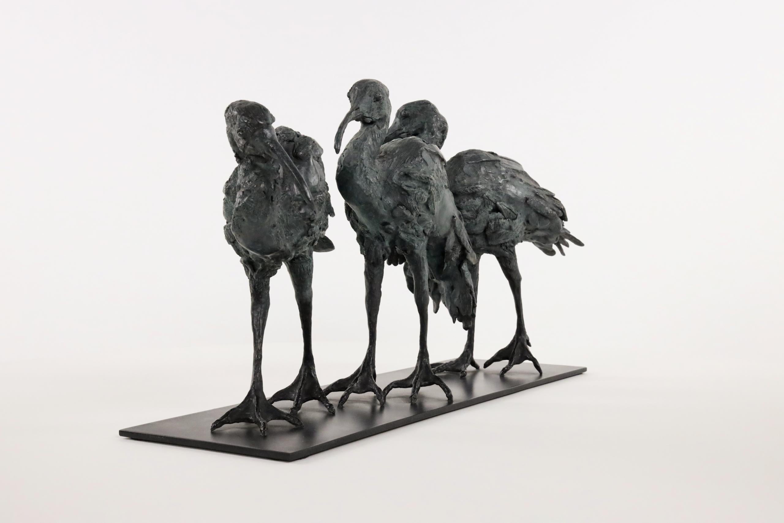 Tre Ibis di Chésade - Scultura animale in bronzo, uccelli in vendita 5