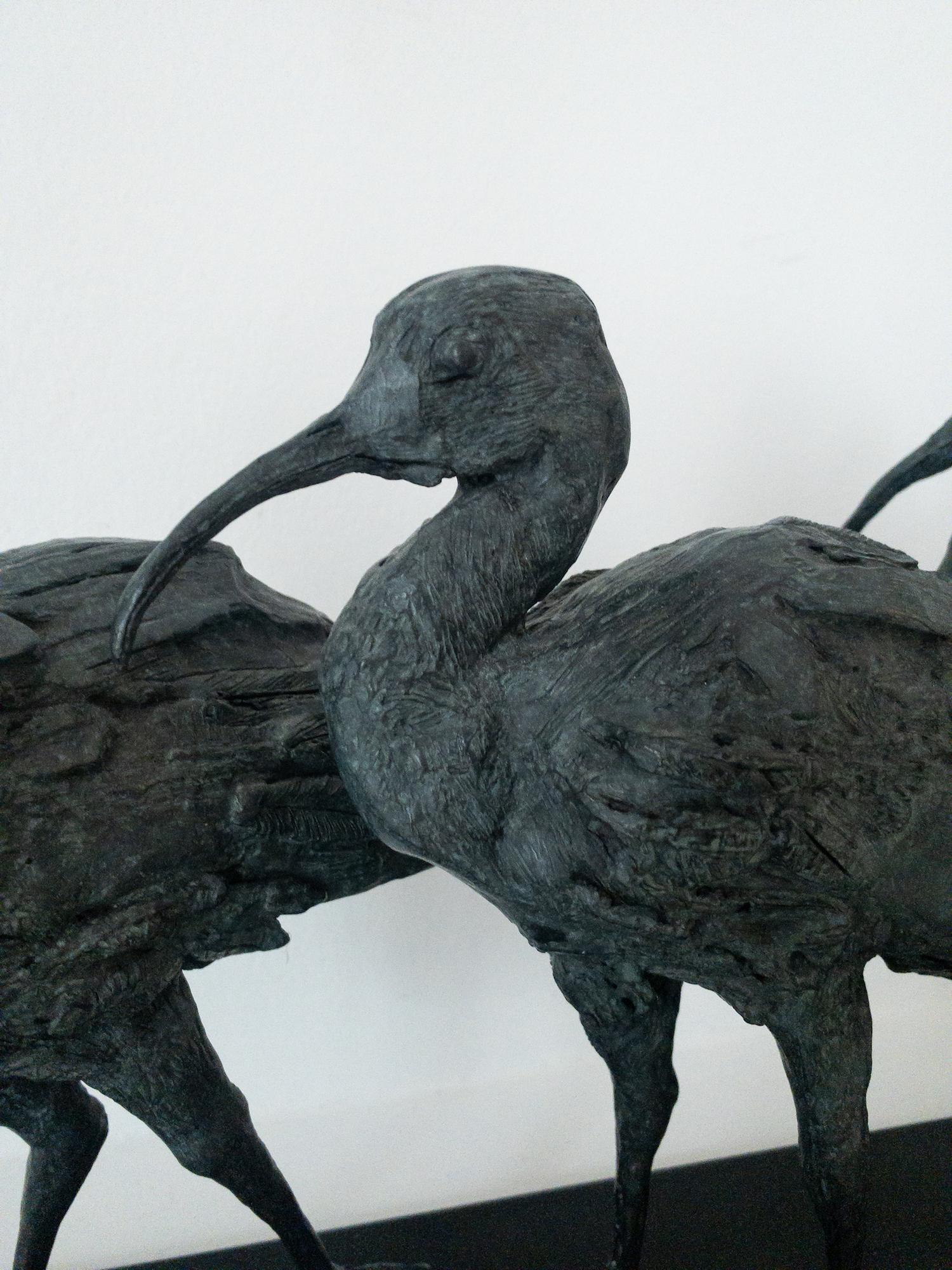 Tre Ibis di Chésade - Scultura animale in bronzo, uccelli in vendita 6