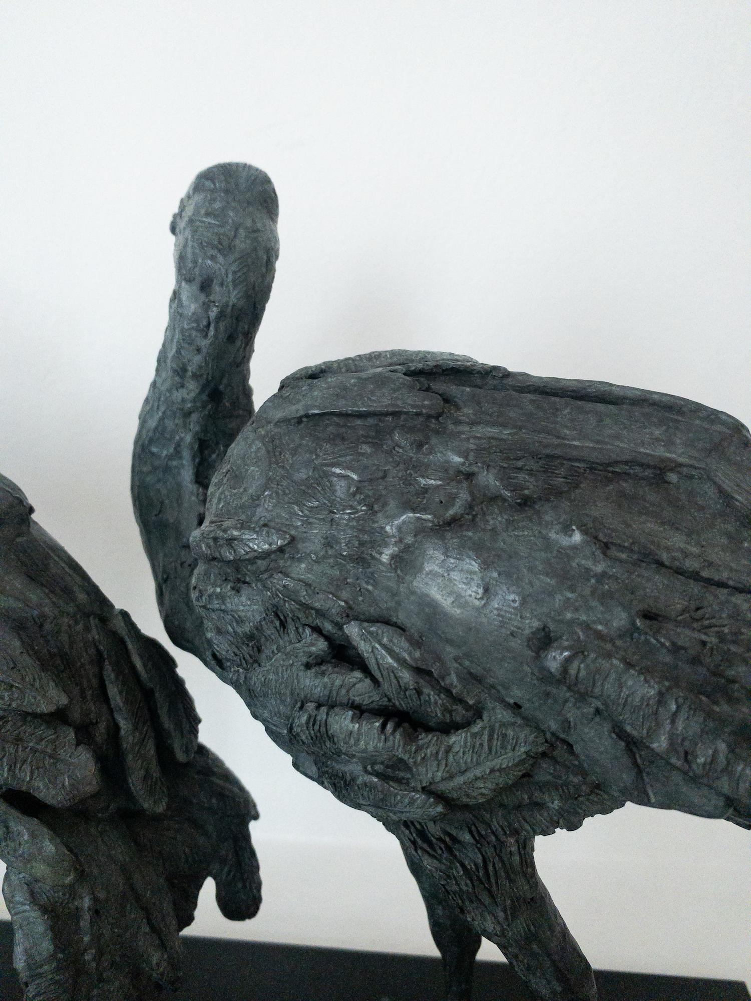 Tre Ibis di Chésade - Scultura animale in bronzo, uccelli in vendita 7