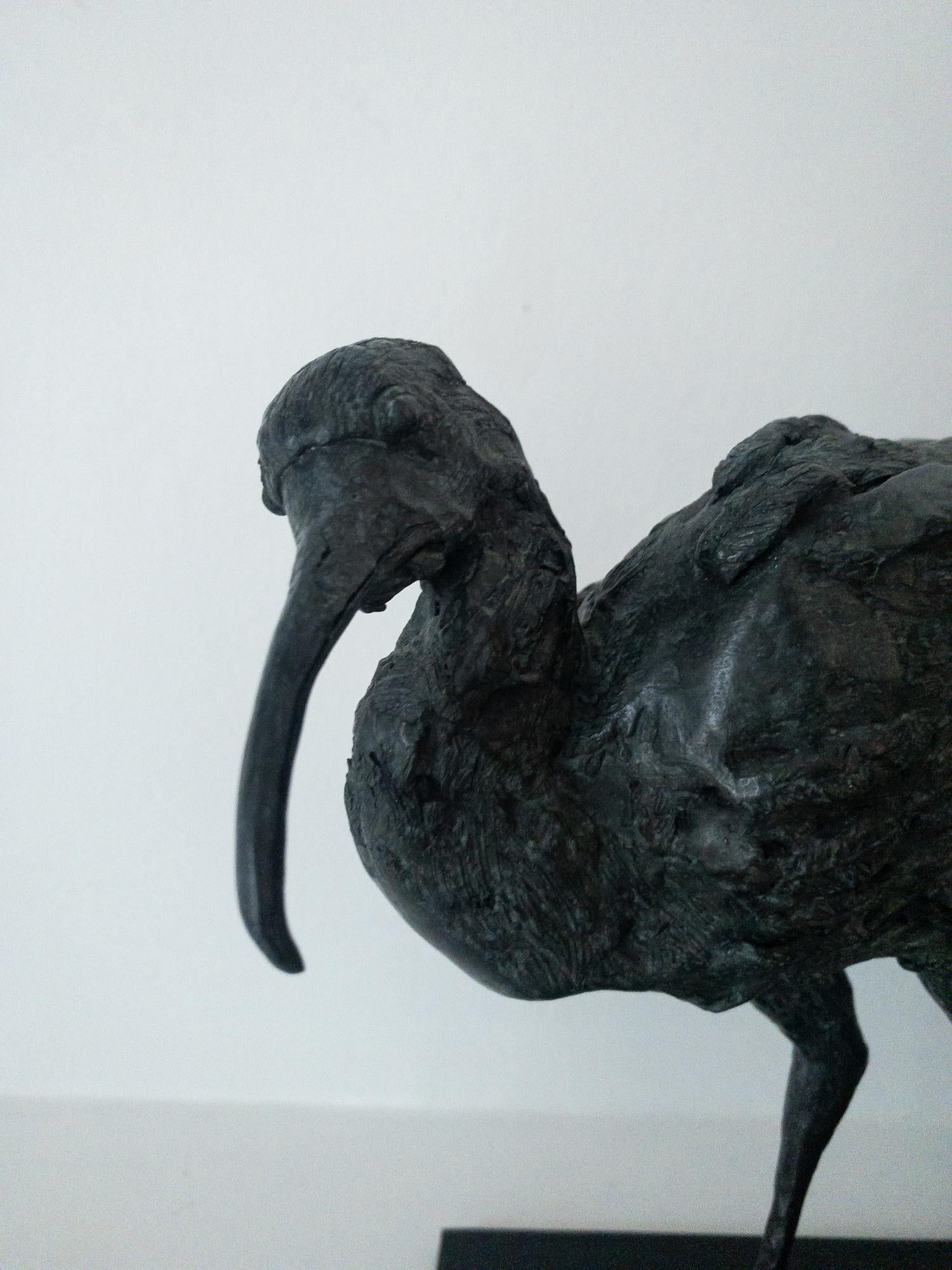 Tre Ibis di Chésade - Scultura animale in bronzo, uccelli in vendita 8