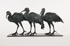 Trois Ibis de Chésade - Sculpture animalière en bronze, oiseaux