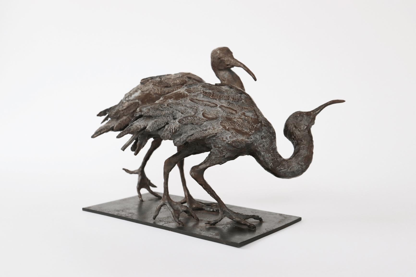 Dos Ibis de Chésade - Escultura animal de bronce, aves, realista, expresiva en venta 2