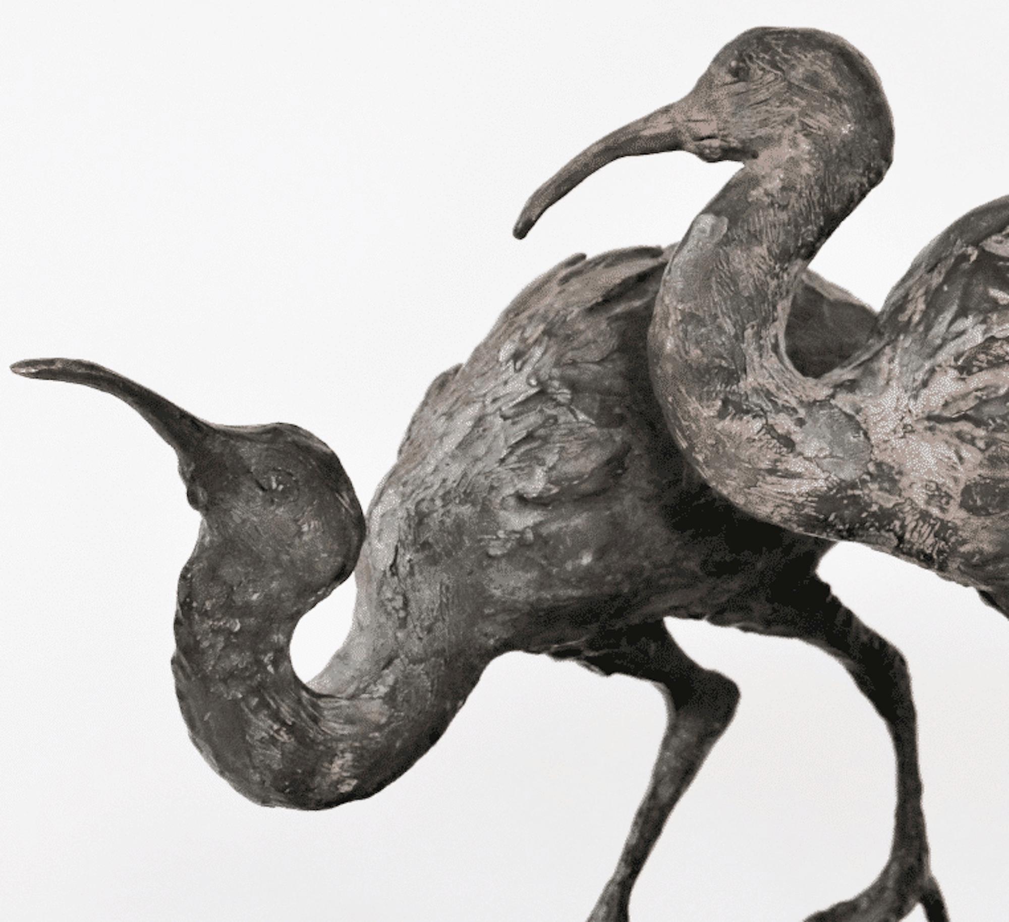 Dos Ibis de Chésade - Escultura animal de bronce, aves, realista, expresiva en venta 3