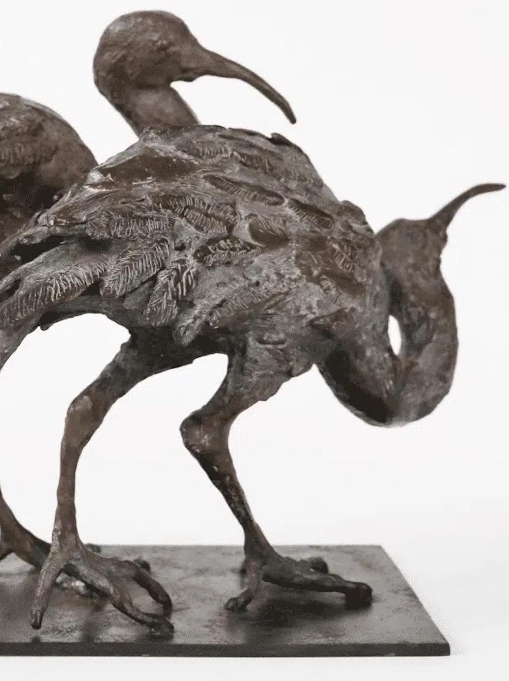 Deux Ibis par Chésade - Sculpture animalière en bronze, oiseaux, réaliste, expressif en vente 6
