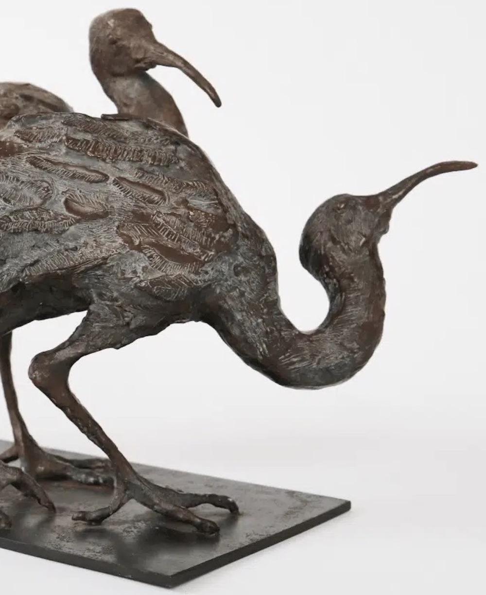 Deux Ibis par Chésade - Sculpture animalière en bronze, oiseaux, réaliste, expressif en vente 7