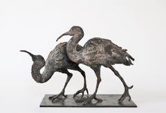 Due Ibis di Chésade - Scultura animale in bronzo, uccelli, realistica, espressiva