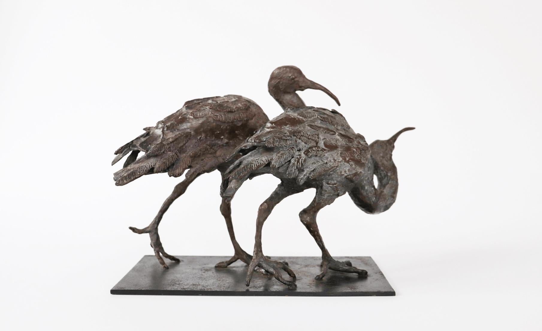 Deux Ibis de Chésade - Sculpture animalière en bronze, oiseaux, réaliste, expressif en vente 1