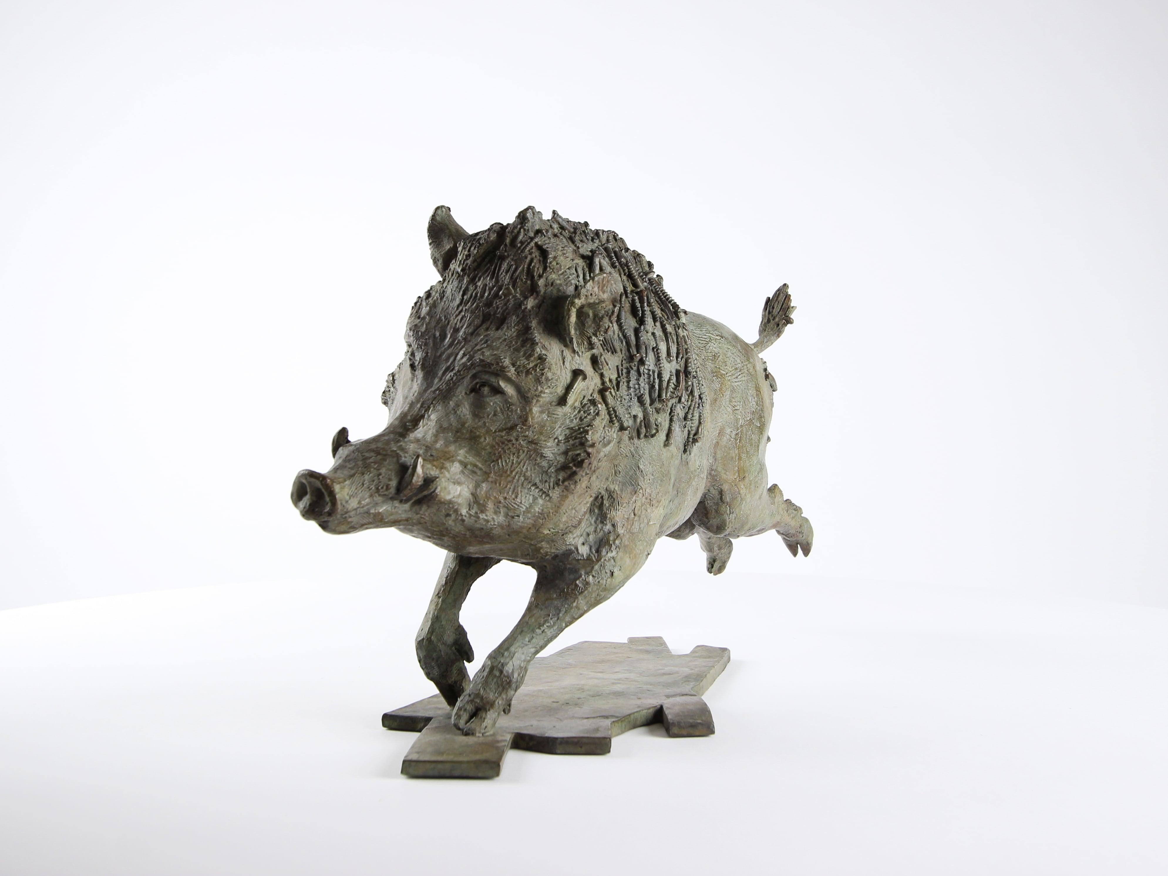 Jabalí de Chésade - Escultura de bronce, arte animal, expresionismo, realismo en venta 1