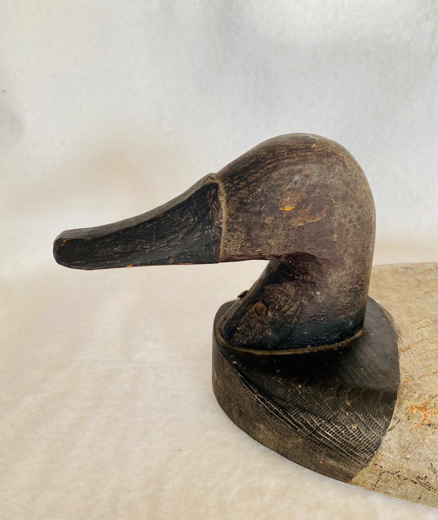 Early Chesapeake Bay Scaup Drake Sink Box Wing Decoy, circa 1940, a very shallow flat bodied decoy in original condition, original black and white paint on head and body, and painted eye (the right one remains strong, the left one has worn away). In