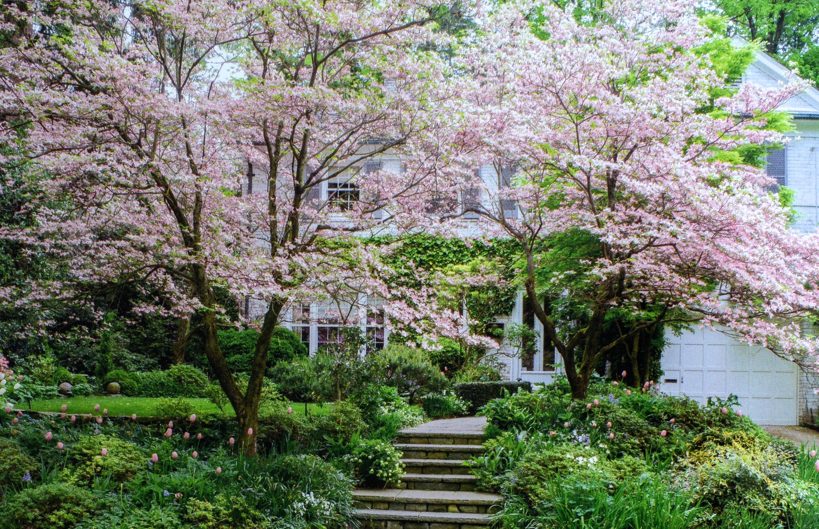 Chesapeake Gardening and Landscaping par Barbara W. Ellis, 1ère édition certifiée. en vente 4