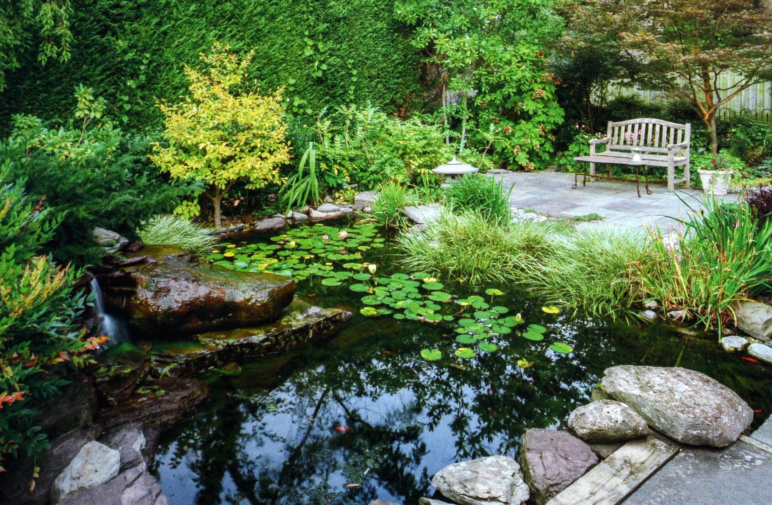 Chesapeake Gardening and Landscaping par Barbara W. Ellis, 1ère édition certifiée. en vente 7