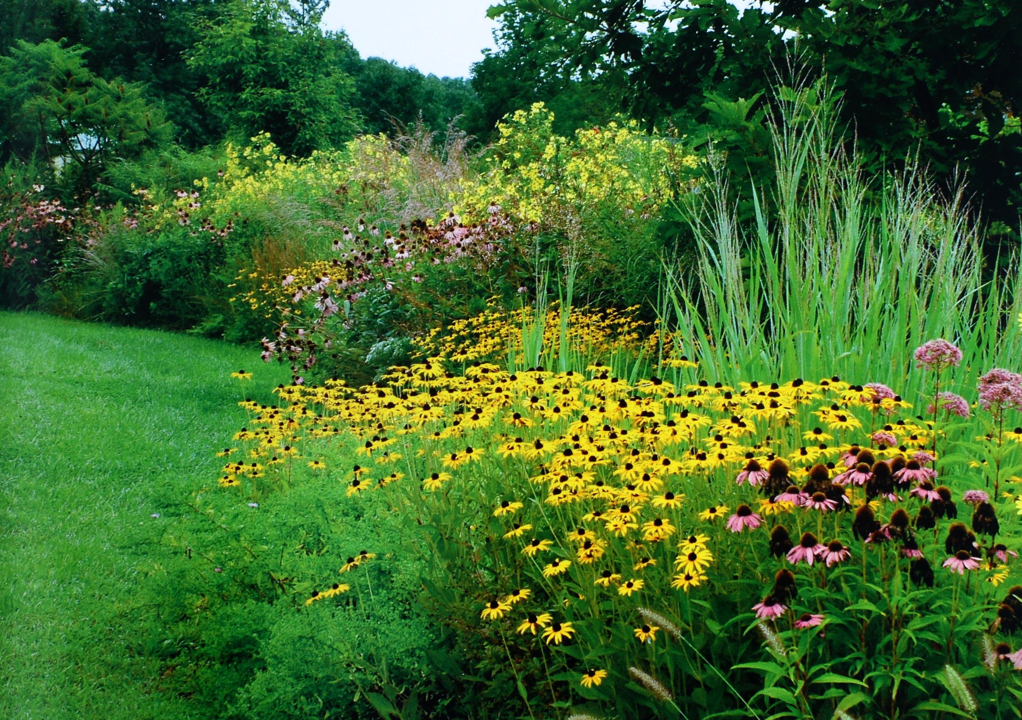Américain Chesapeake Gardening and Landscaping par Barbara W. Ellis, 1ère édition certifiée. en vente