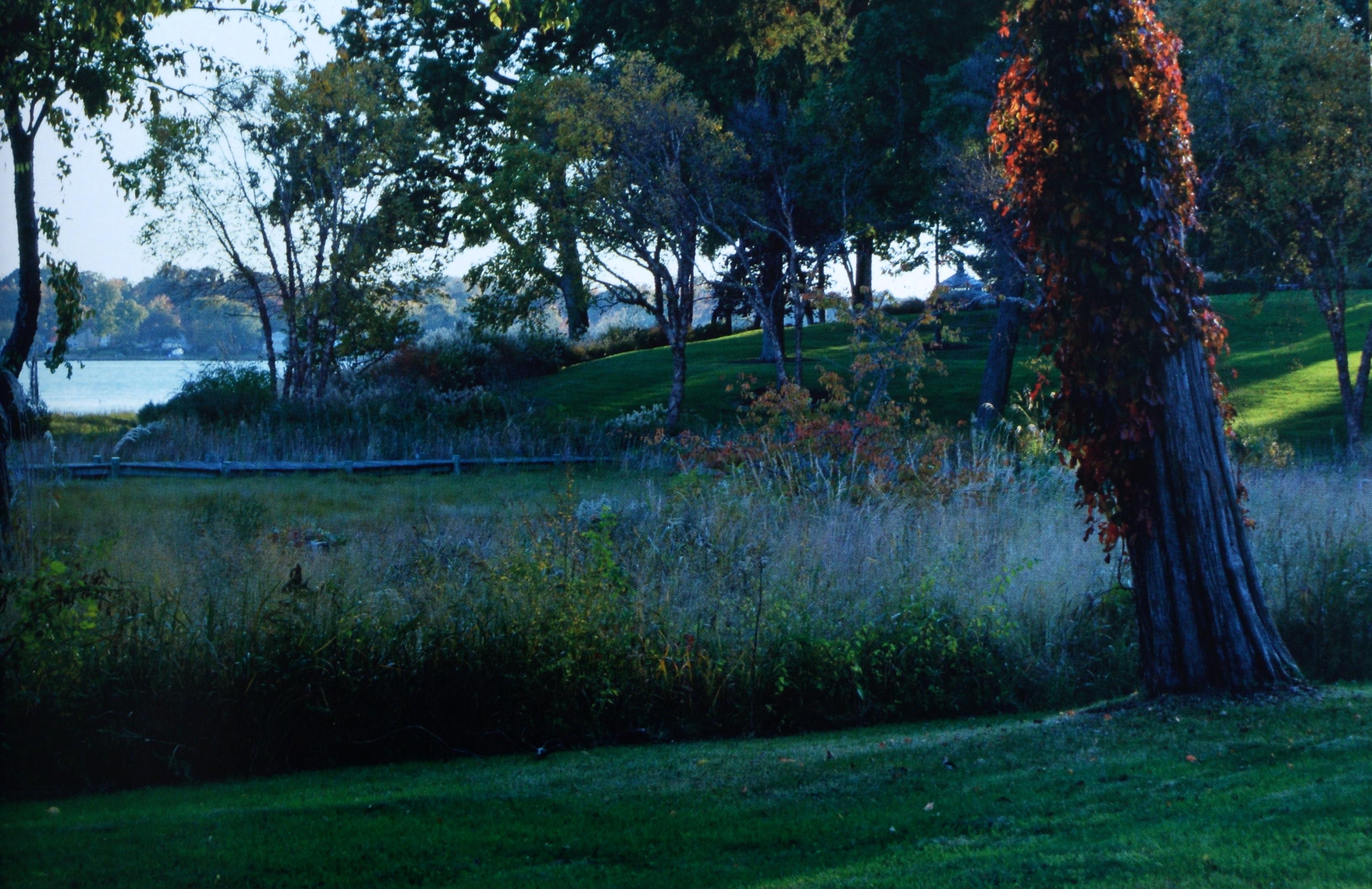 Chesapeake Gardening and Landscaping par Barbara W. Ellis, 1ère �édition certifiée. Excellent état - En vente à valatie, NY