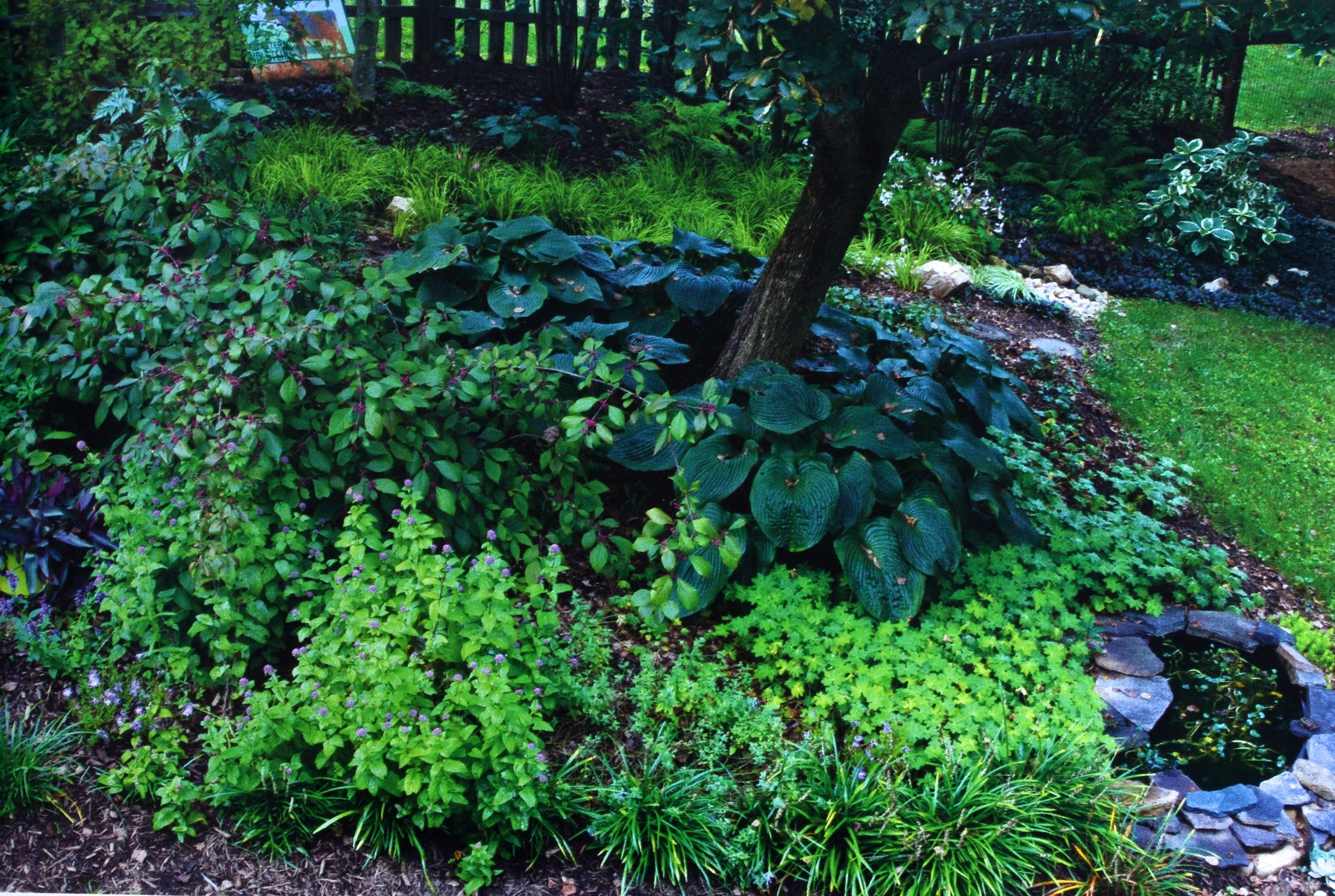 XXIe siècle et contemporain Chesapeake Gardening and Landscaping par Barbara W. Ellis, 1ère édition certifiée. en vente