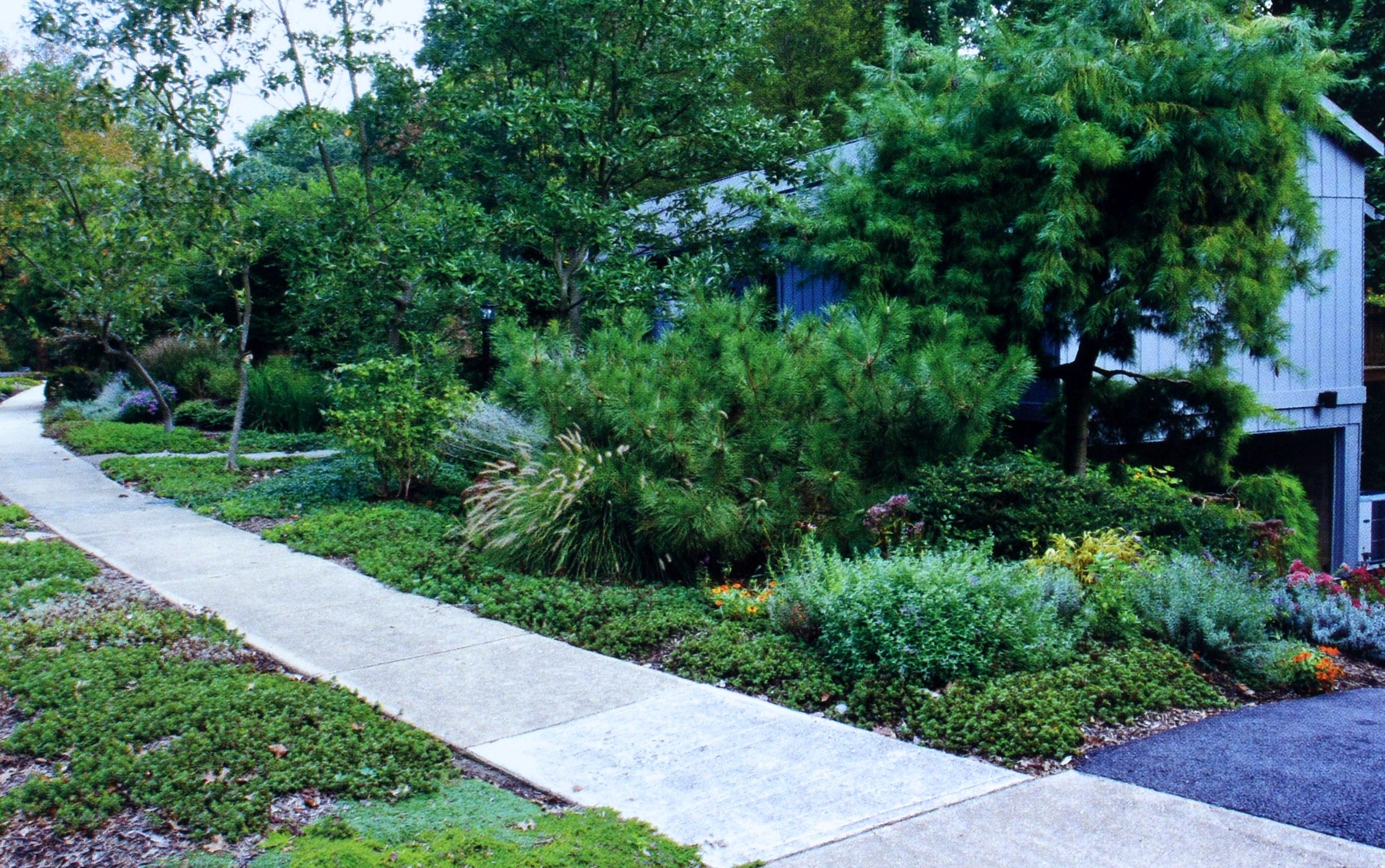 Papier Chesapeake Gardening and Landscaping par Barbara W. Ellis, 1ère édition certifiée. en vente