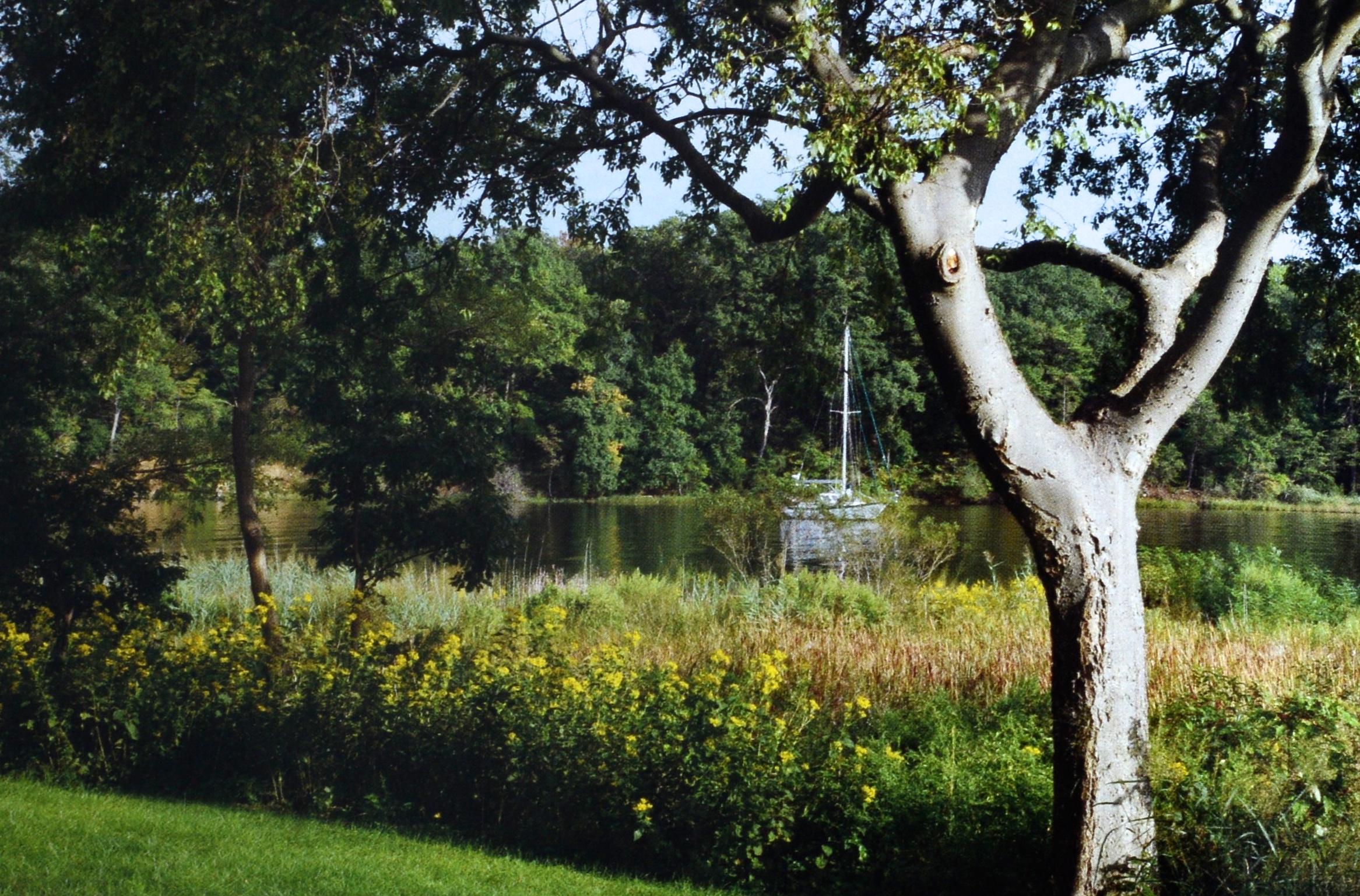 Chesapeake Gardening and Landscaping par Barbara W. Ellis, 1ère édition certifiée. en vente 1