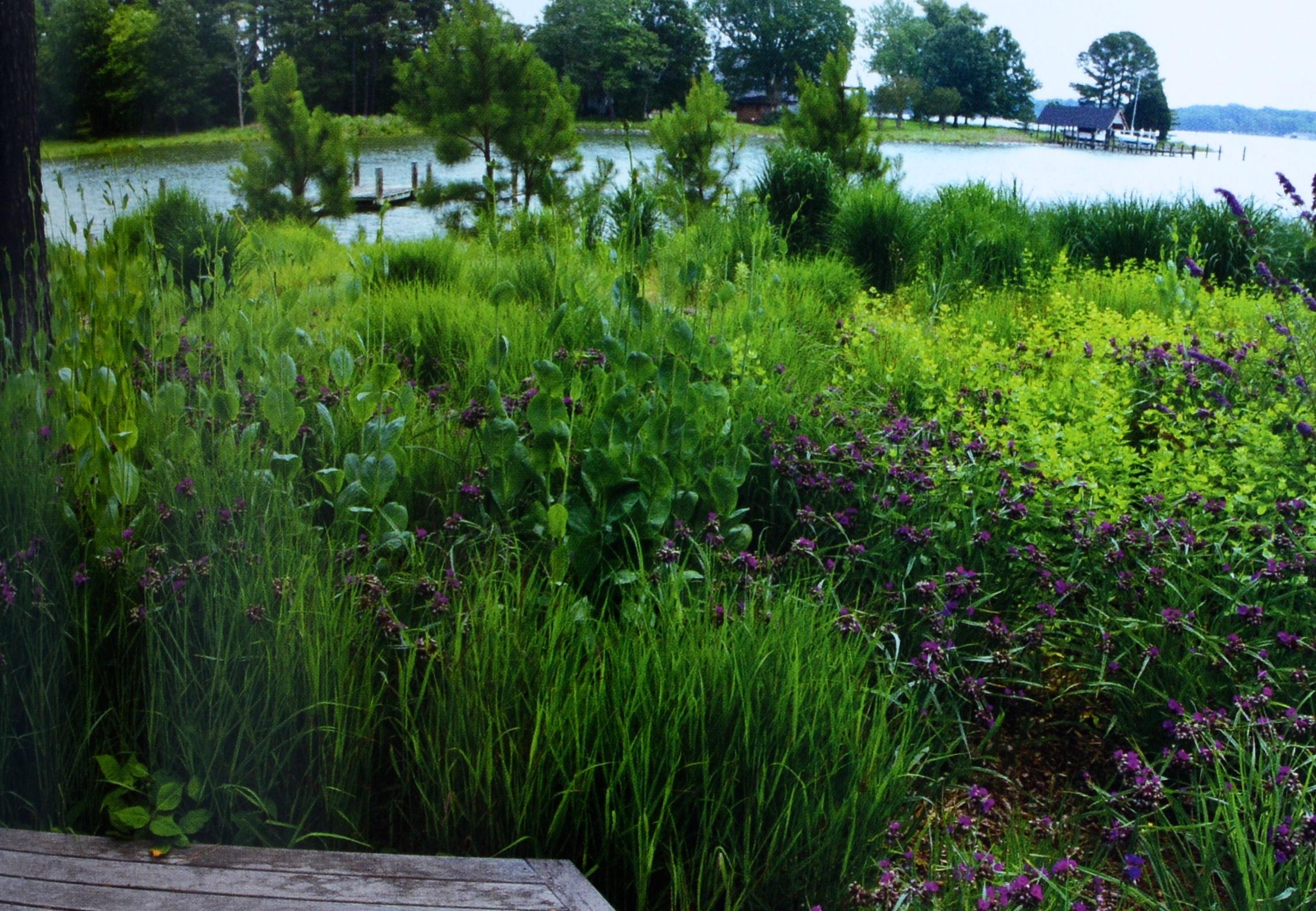 Chesapeake Gardening and Landscaping par Barbara W. Ellis, 1ère édition certifiée. en vente 3