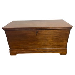 Chest in vine wood - 19th century