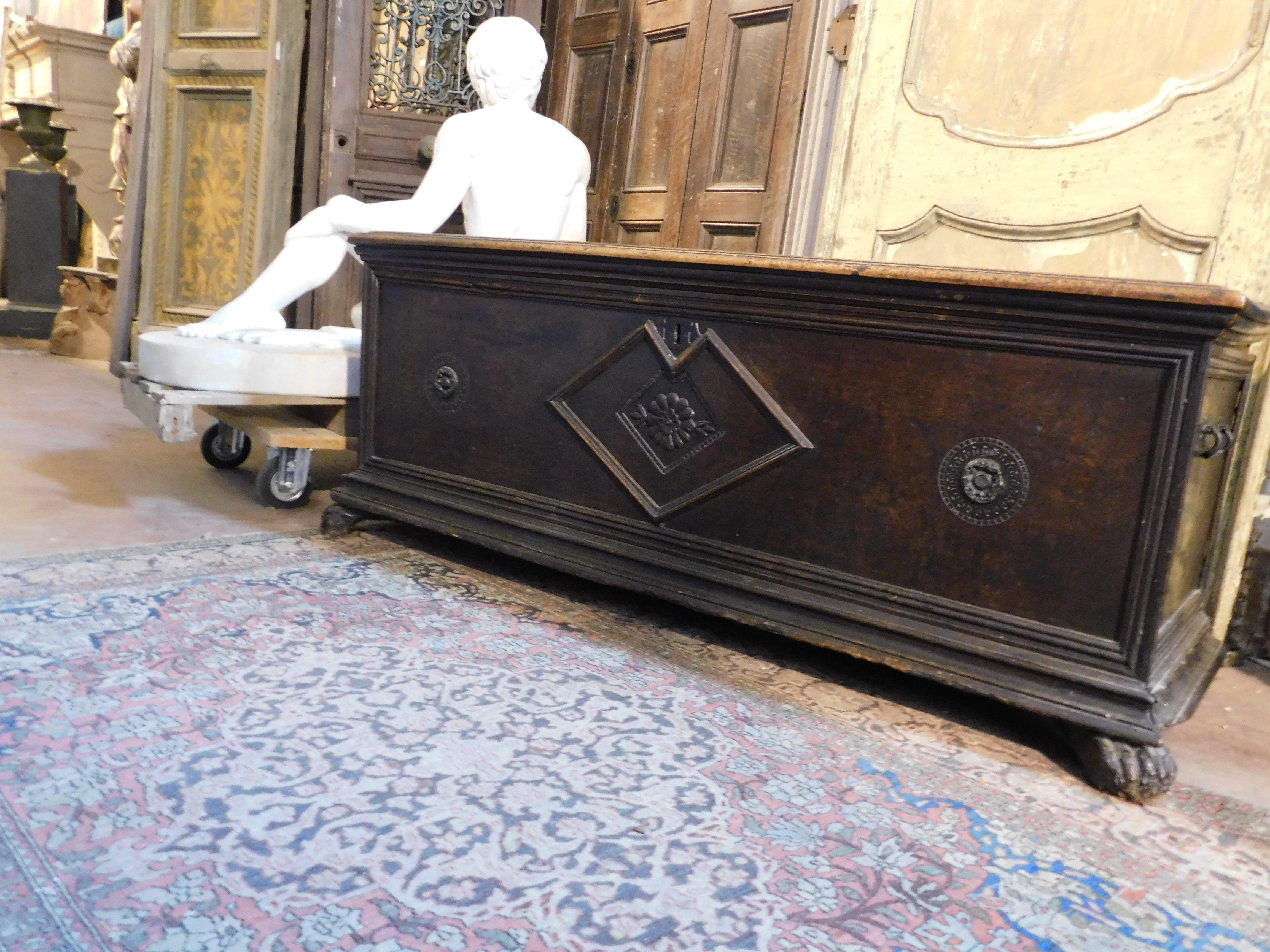 Chest in walnut wood, carved with three flowers and lion's paw feet, Italy In Good Condition For Sale In Cuneo, Italy (CN)