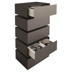 Chest of drawers 5 drawers Minotti Italia NYC design Claudio Lovadina - Dressers