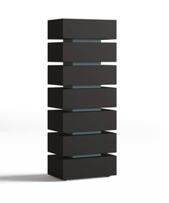 Chest of drawers 7 drawers Minotti Italia NYC design Claudio Lovadina - Dressers