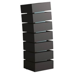 Chest of drawers 7 drawers Minotti Italia Pisa design Claudio Lovadina Dressers