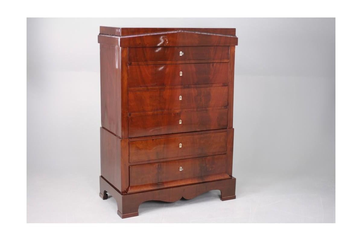 Mid-19th Century Chest of Drawers, Biedermeier Chiffon from Around 1860 For Sale