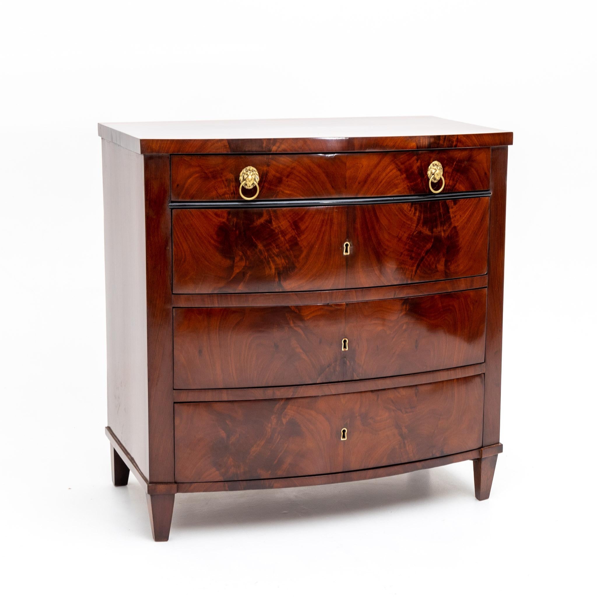 Mahogany veneered chest of drawers with a bow front, four drawers and lion head fittings.