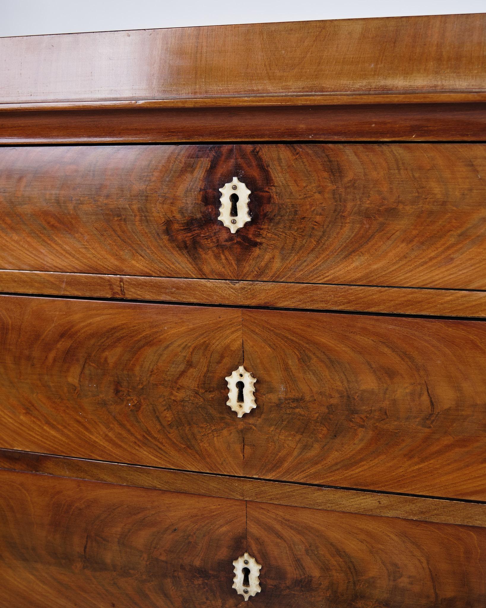 Mogano Cassettiera in mogano con 7 cassetti  Dal 1860 in vendita