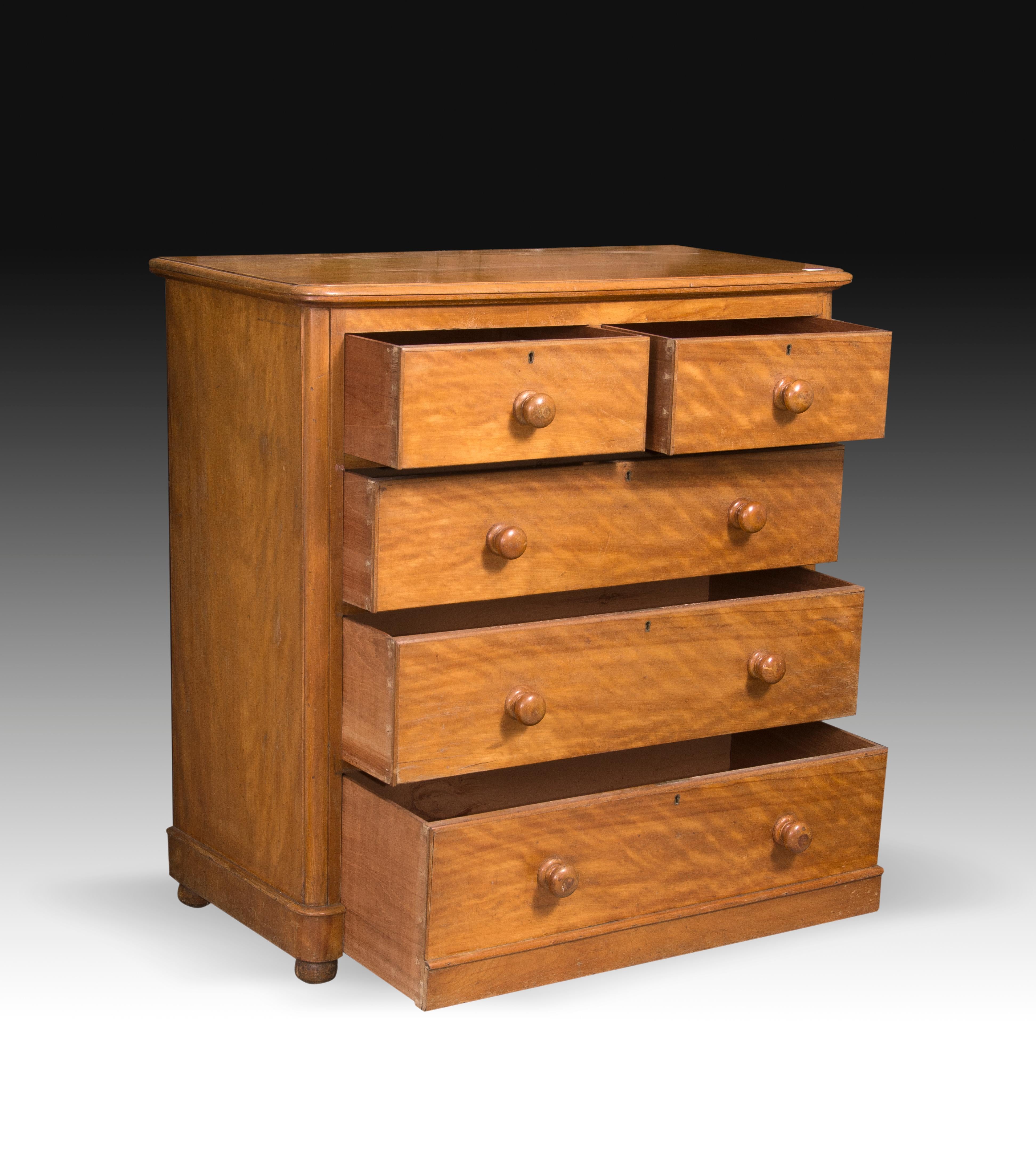 Neoclassical Chest of Drawers, Lemonwood, 19th Century For Sale