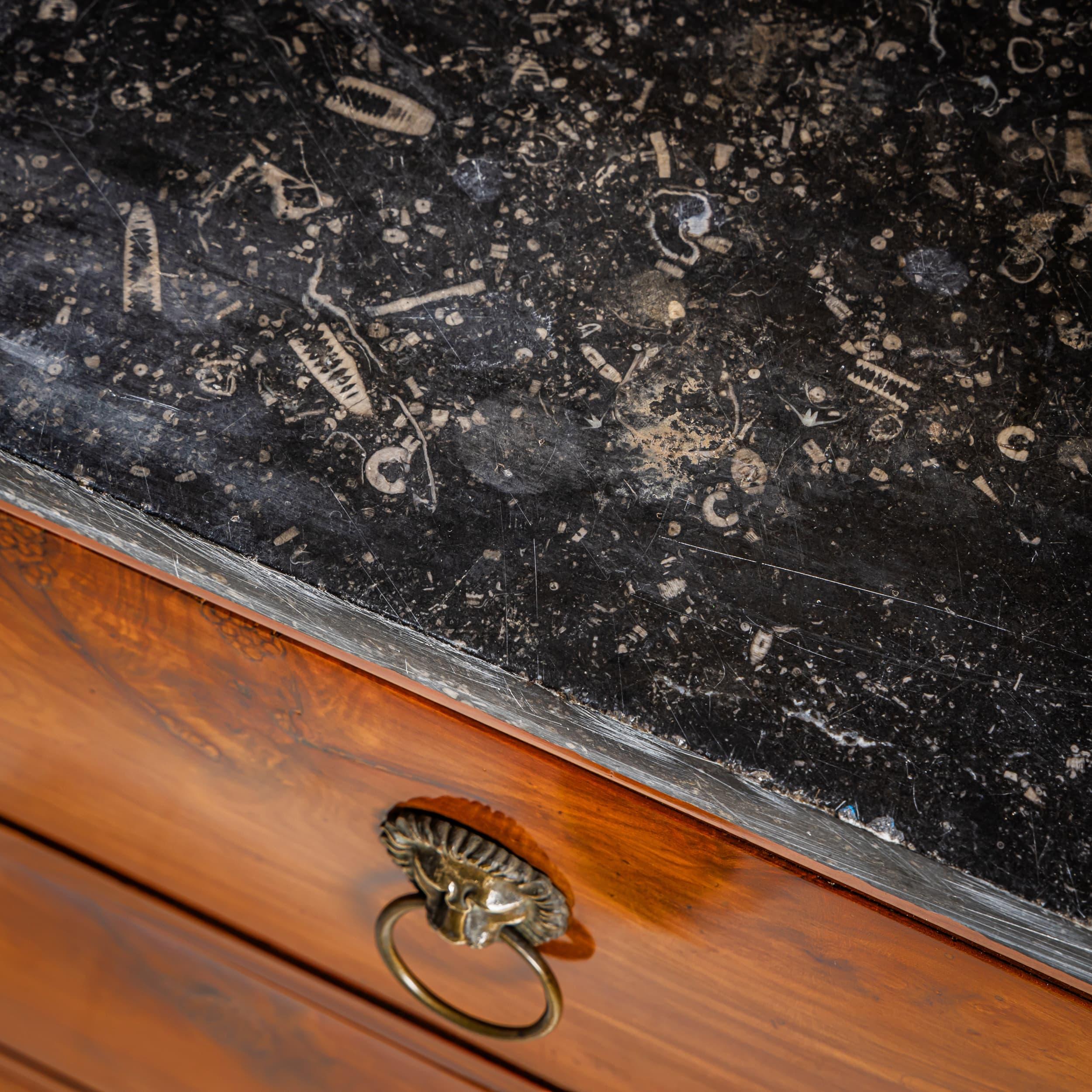 French Chest of Drawers on Paw Feet, France, circa 1810 For Sale