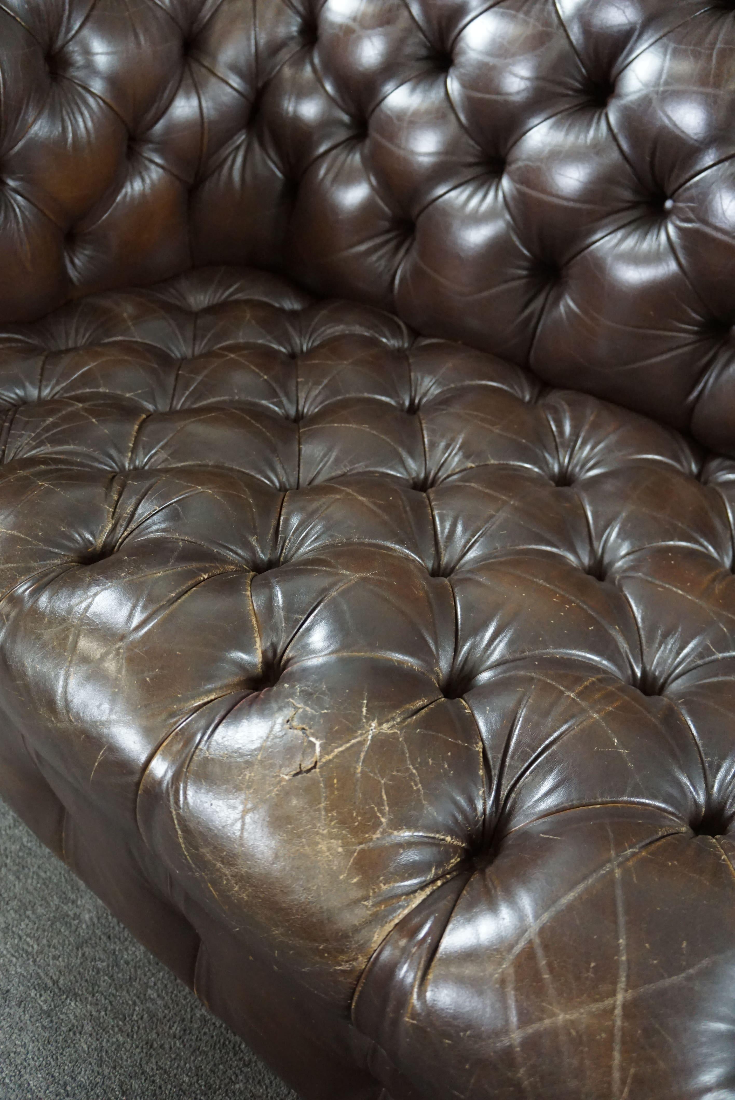 Chesterfield button seat sofa full of allure, 3 seater For Sale 3