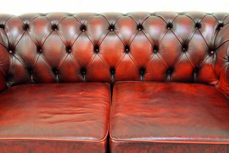 Chesterfield Sofa Leather Antique Vintage Couch English Real Leather For  Sale at 1stDibs