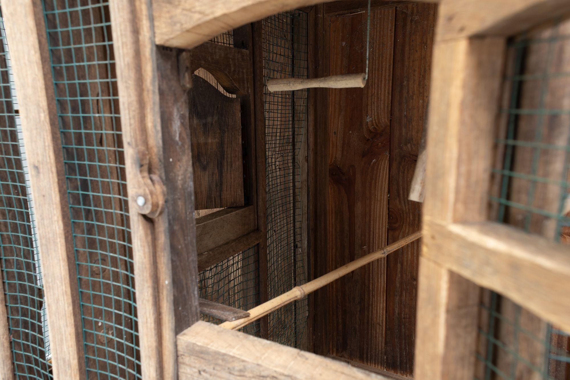 Chestnut Aviary For Sale 2