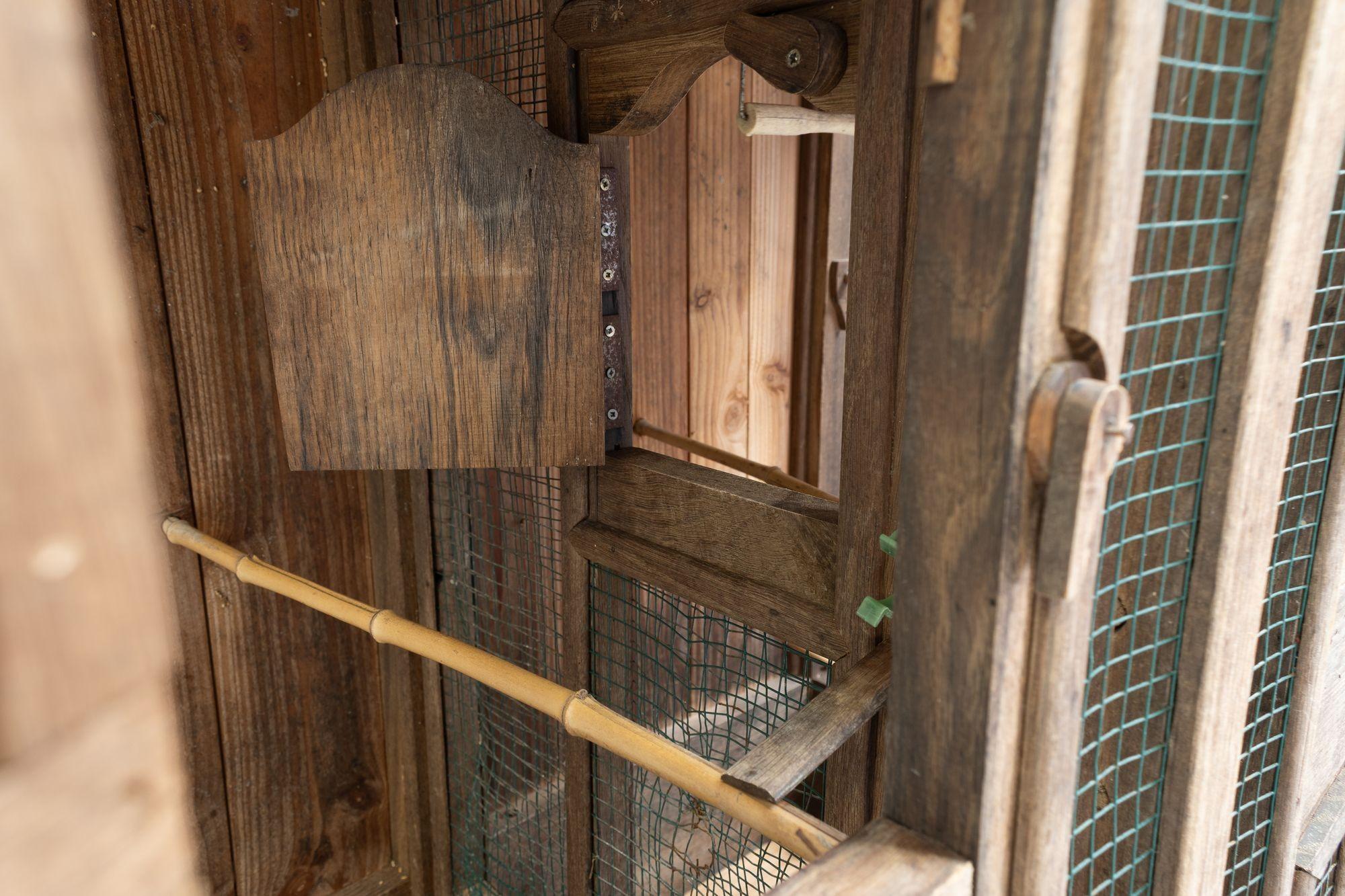 Chestnut Aviary For Sale 3