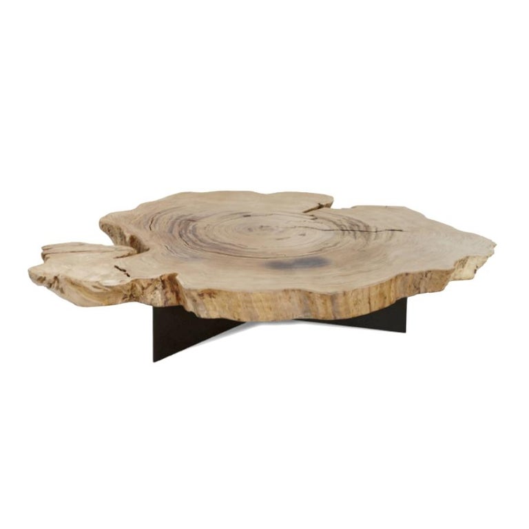 Chestnut Coffee Table with Metal Base, Unique Piece, Made in Italy For Sale  at 1stDibs