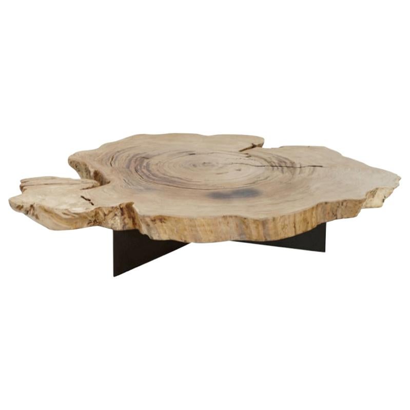 Chestnut Coffee Table with Metal Base, Unique Piece, Made in Italy
