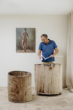 chestnut dugout treetrunk