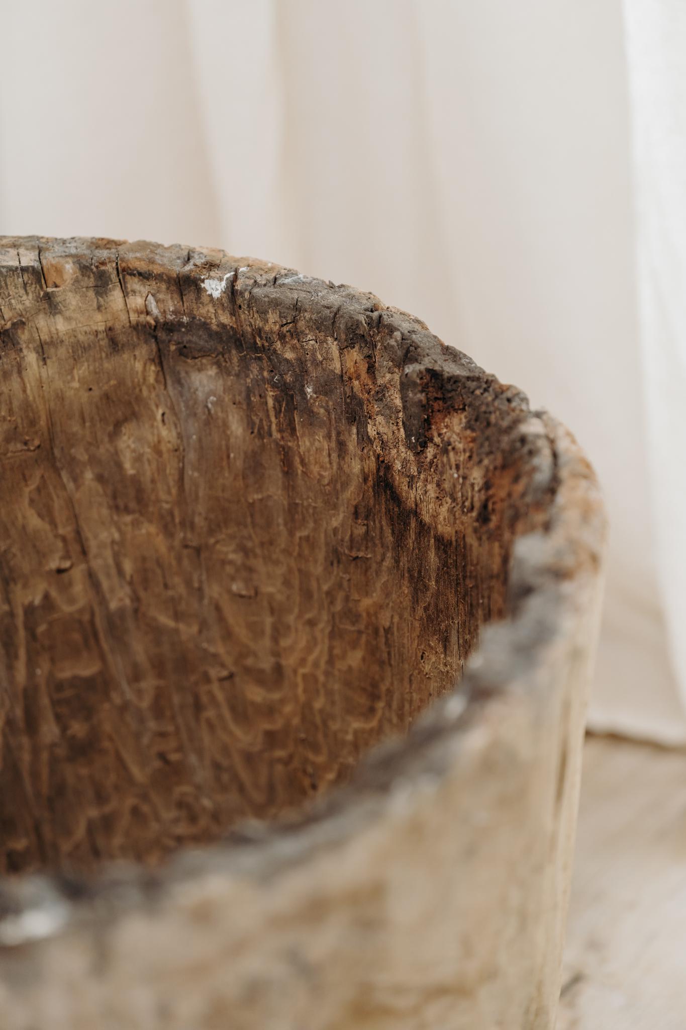 Spanish chestnut dugout treetrunk For Sale