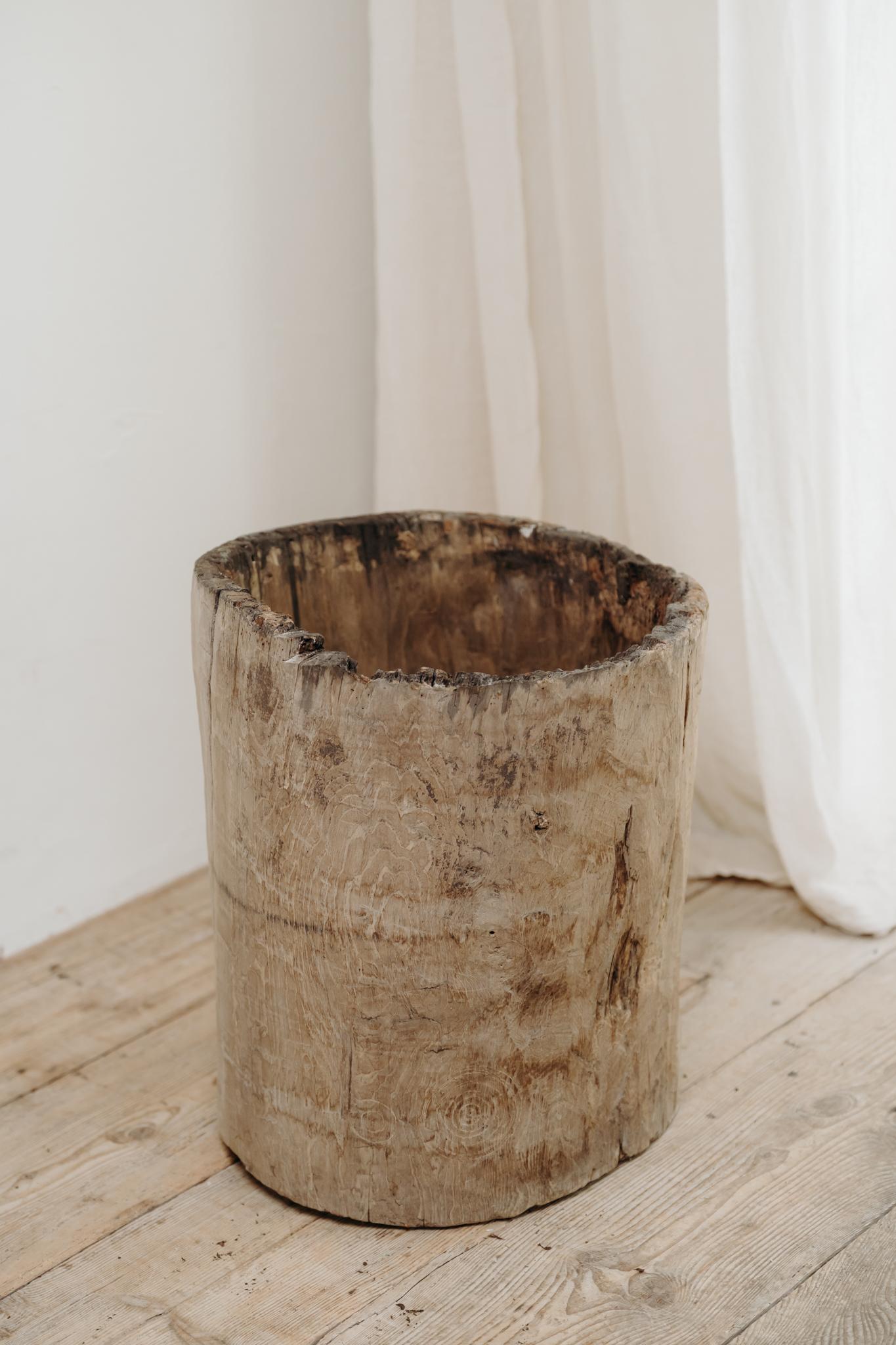 chestnut dugout treetrunk In Good Condition For Sale In Brecht, BE