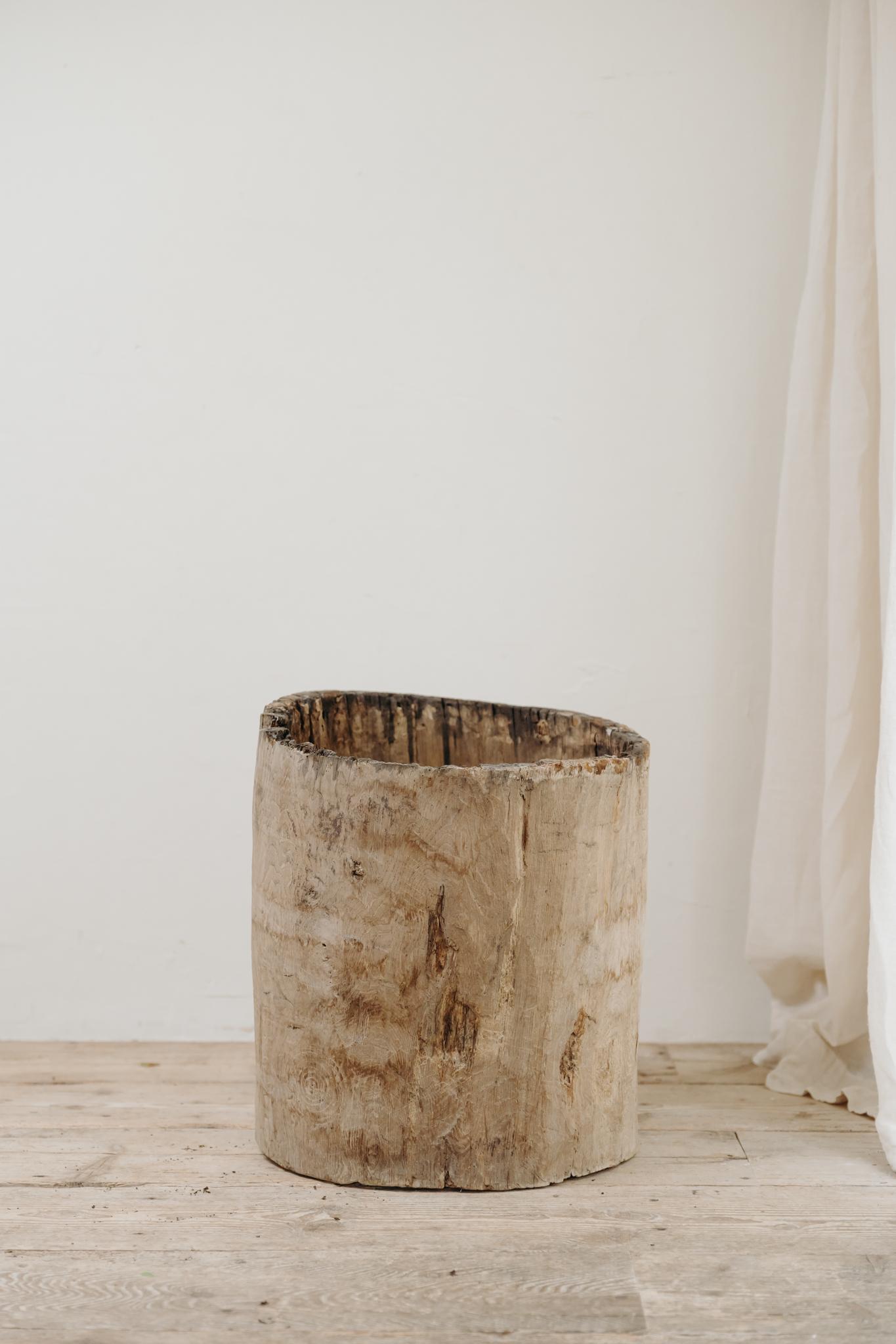 Chestnut chestnut dugout treetrunk For Sale