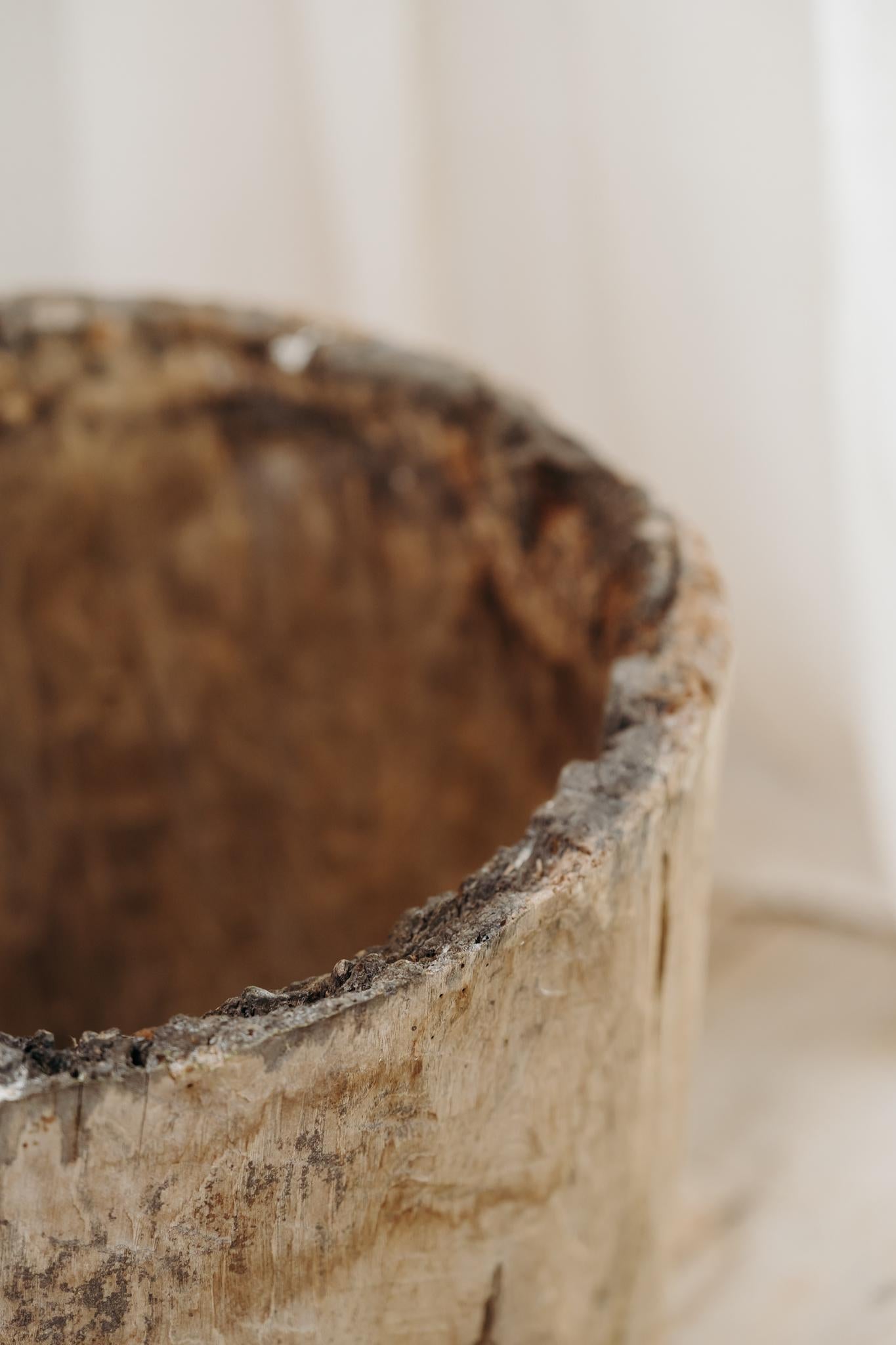 chestnut dugout treetrunk For Sale 1