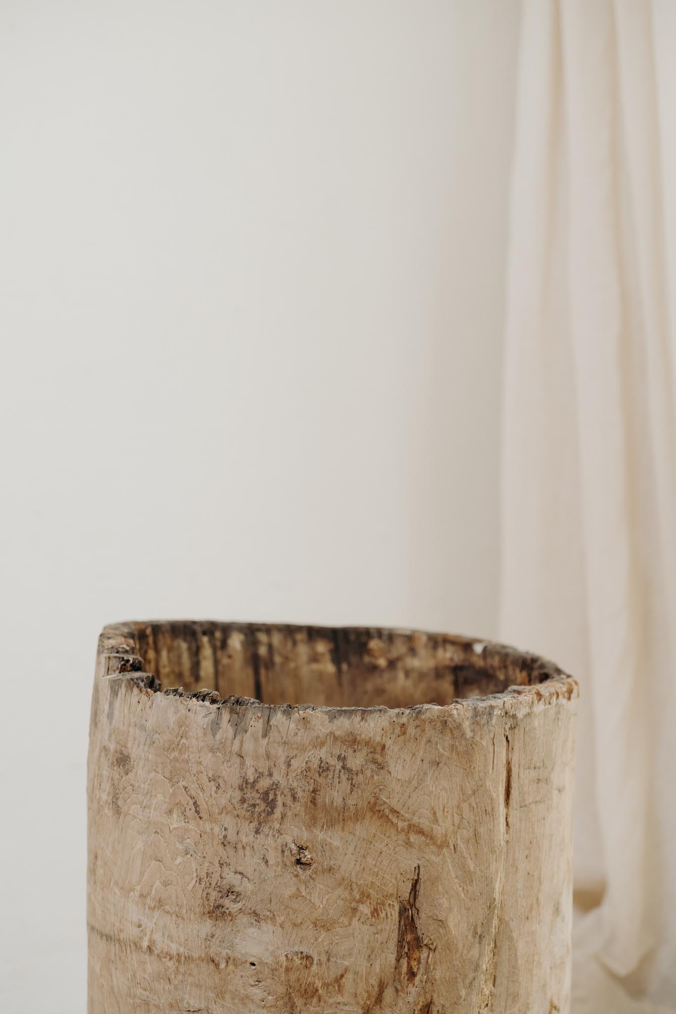 chestnut dugout treetrunk For Sale 2