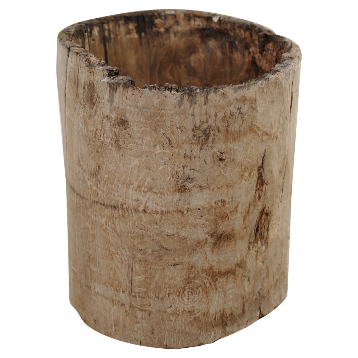 chestnut dugout treetrunk