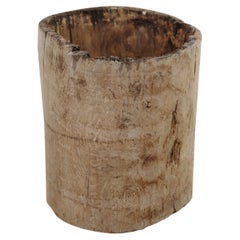 chestnut dugout treetrunk