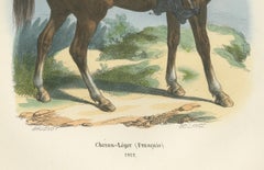 Chevau-Léger Français, Napoleonic Guard Cavalry Officer on Horseback, 1843