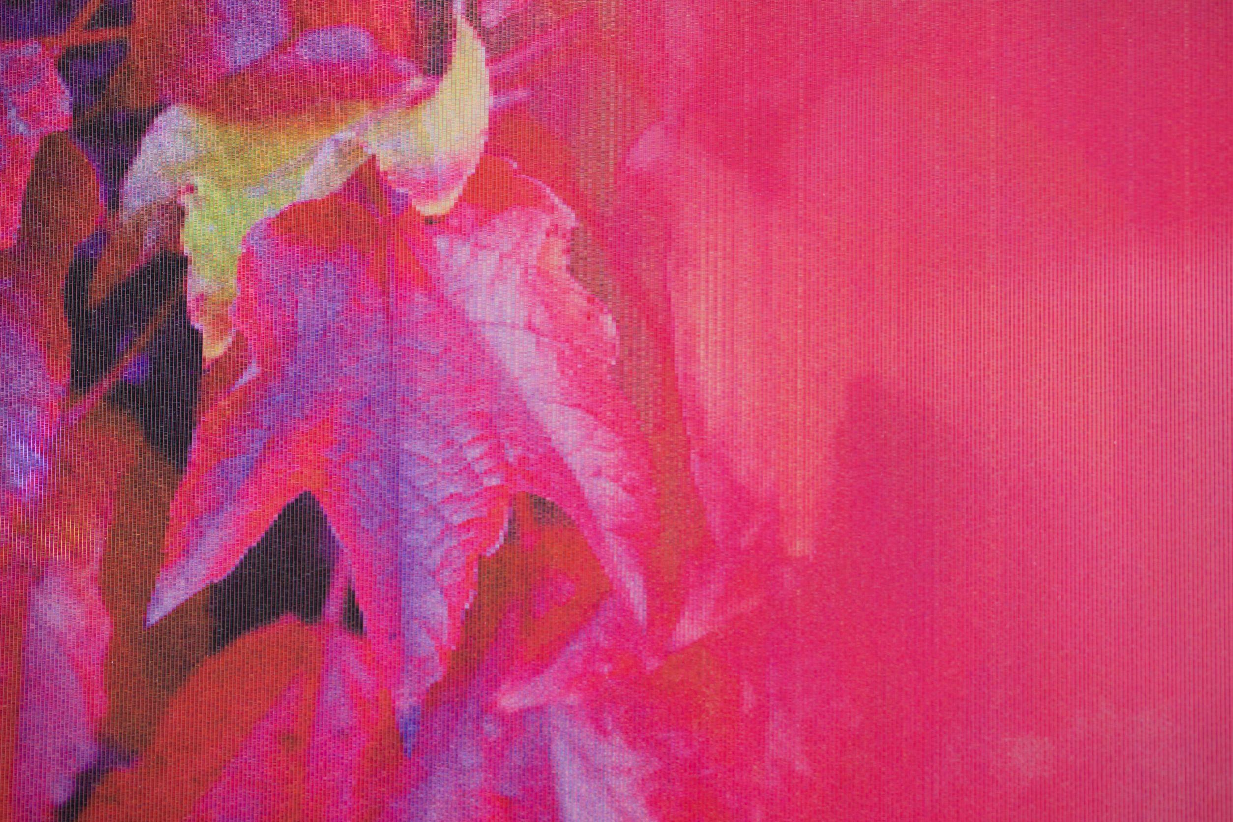 Chiara Dynys, Bonjour Monsieur Monet, 2017, sculpture, photographie, rose - Contemporain Painting par Chiara Dynys 