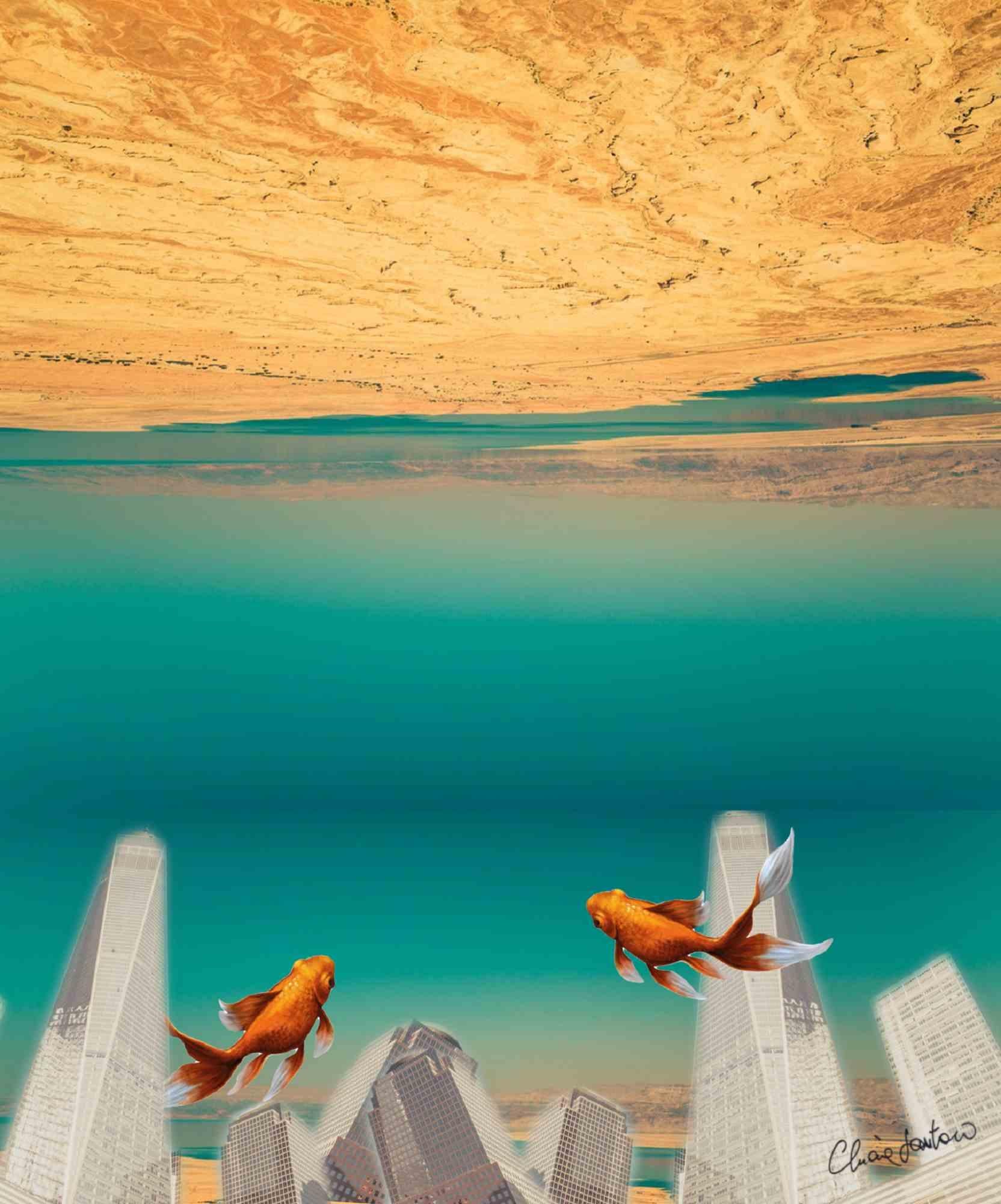 Floating point è una bellissima stampa su tela di un collage digitale realizzato nel 2017 dall'artista italiana Chiara Santoro.

Edizione di 10 esemplari. Firmato a mano e numerato.

L'opera rappresenta il mondo alla rovescia.