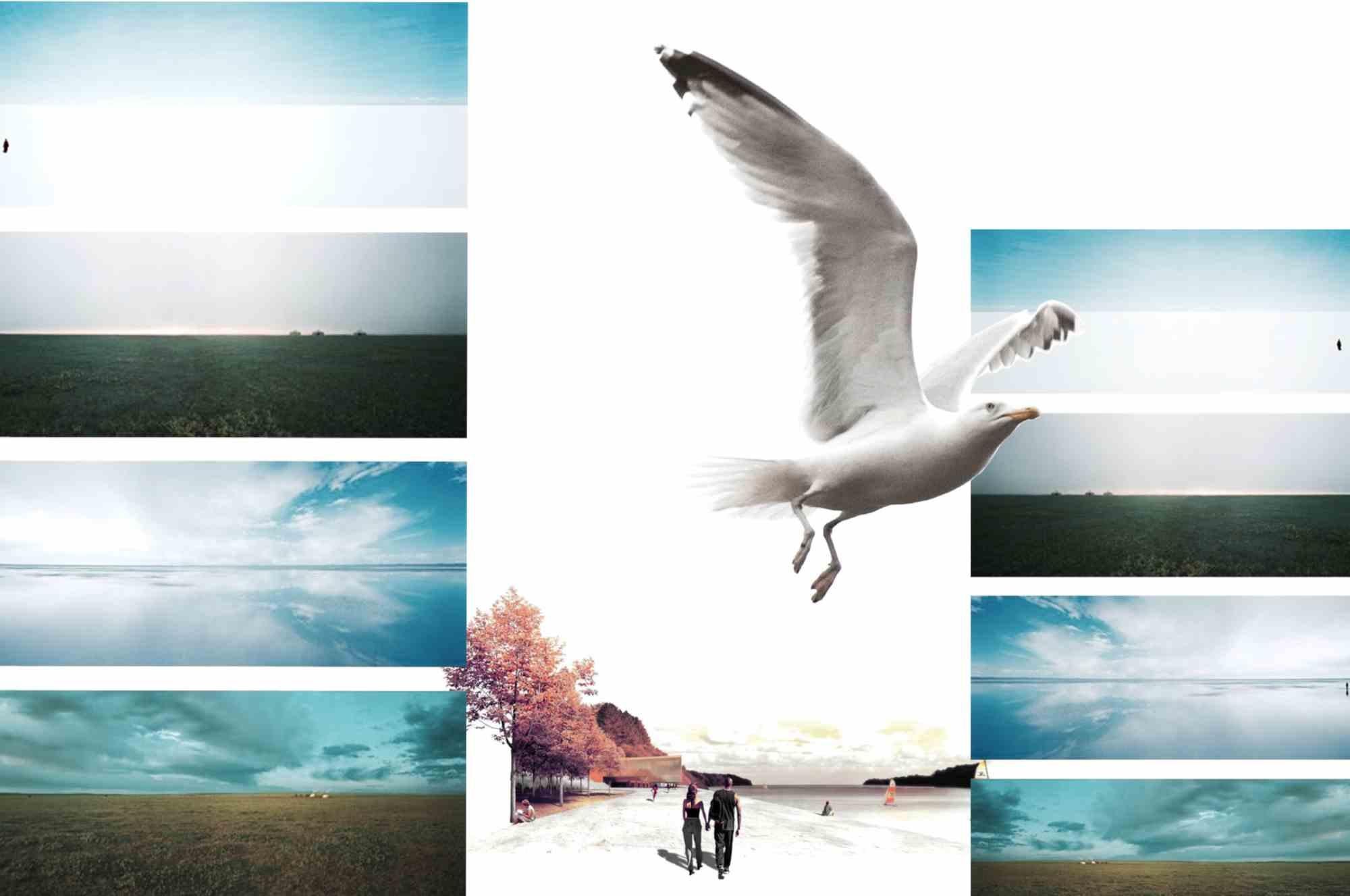 Spring Flight - Digital Collage by Chiara Santoro -2017