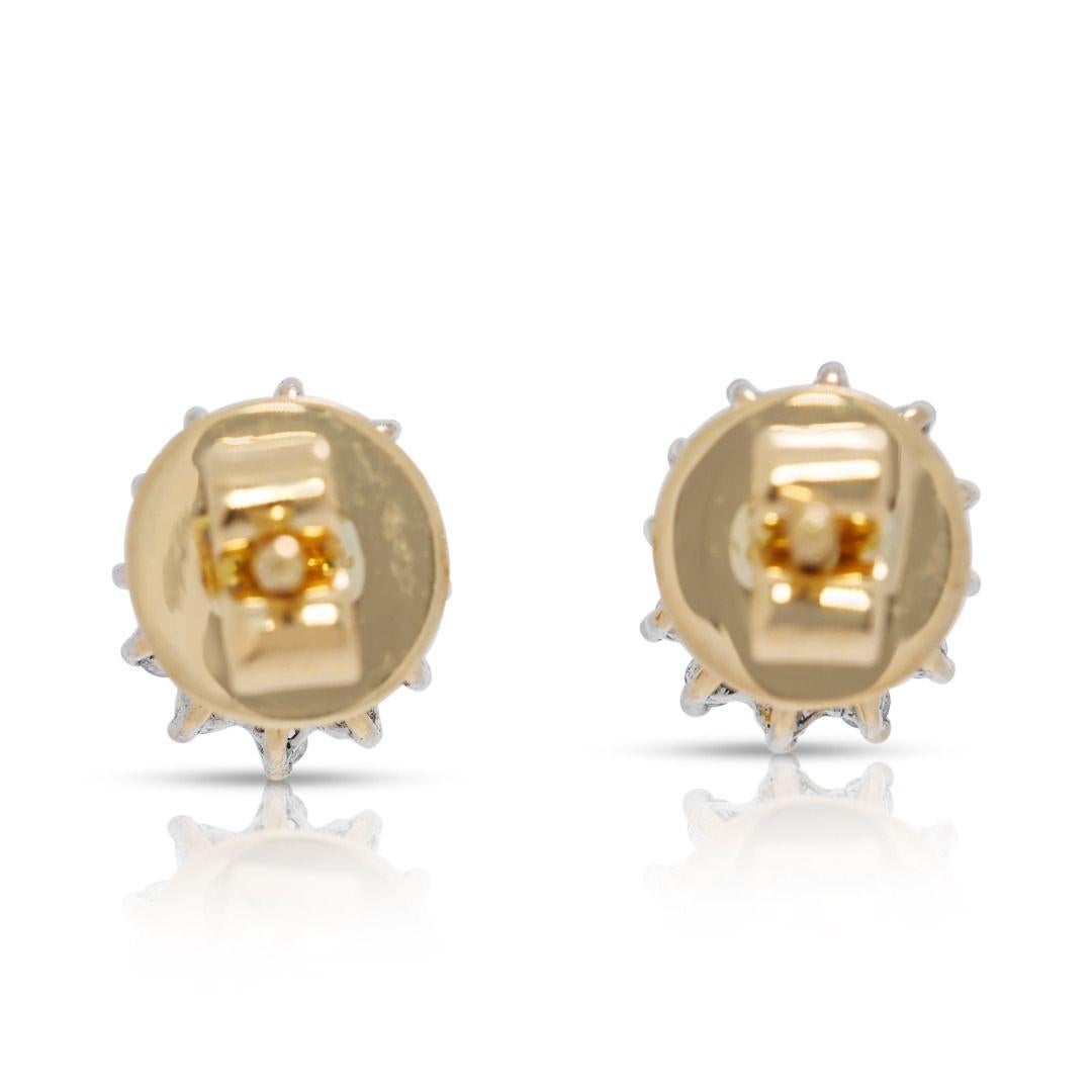 Chic 0.60ct Sapphire & Natural Diamond 18K Two-Toned Gold Cluster Stud Earrings en venta 1